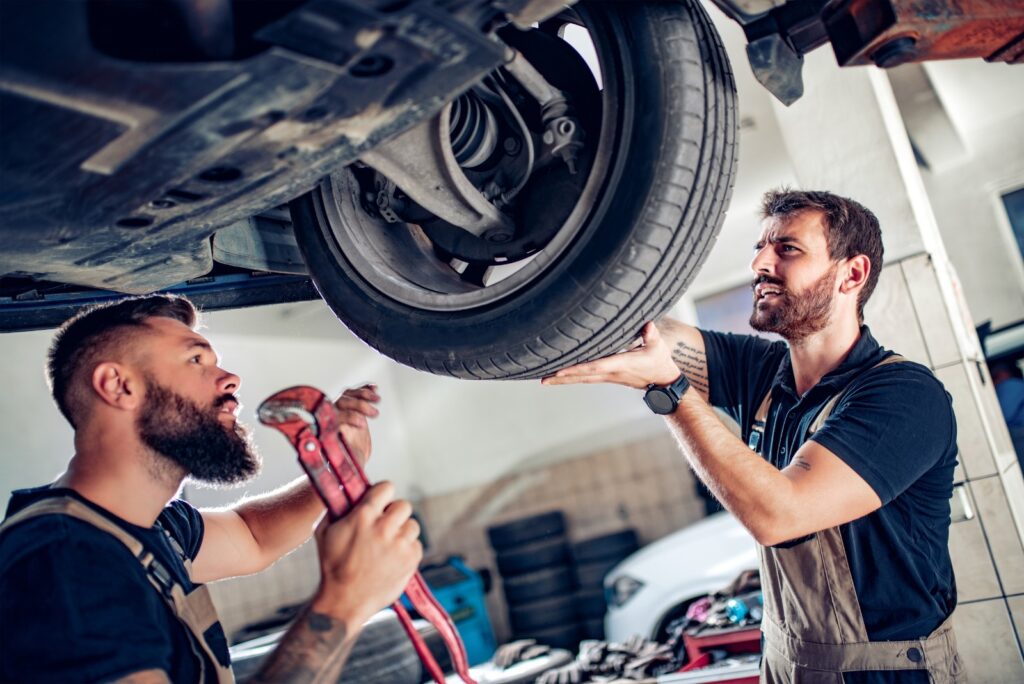 whatsapp image 2026 02 19 at 12.04.58 am